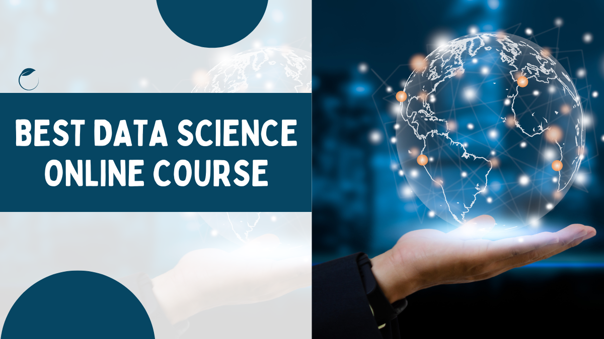 best data science online course